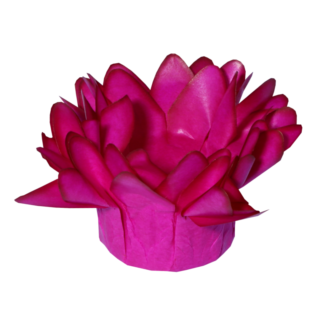 MADRI PINK