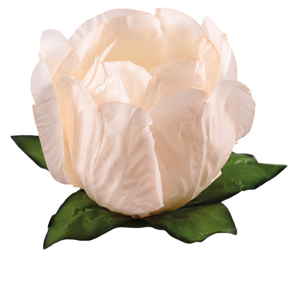 PRINCESA CREME