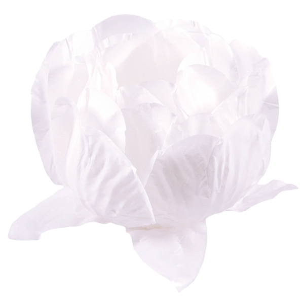 BELA BRANCO BRANCO