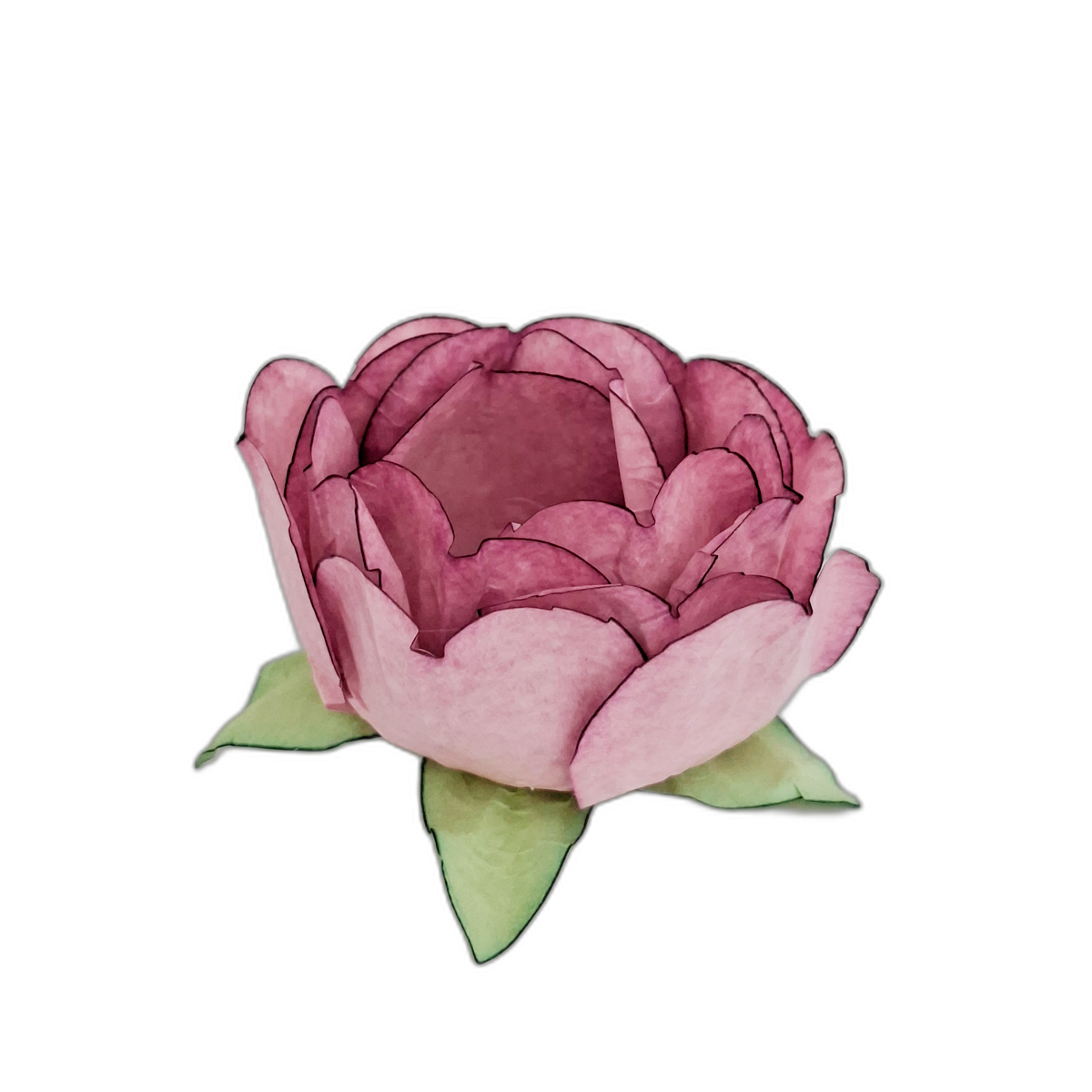 Bela rosa seco