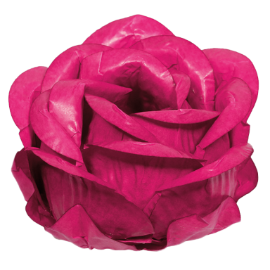 ROSÊ (Personalizado)