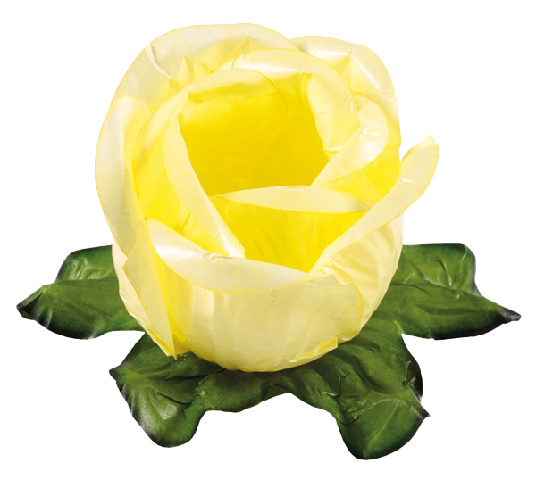 RAINHA AMARELO CLARO