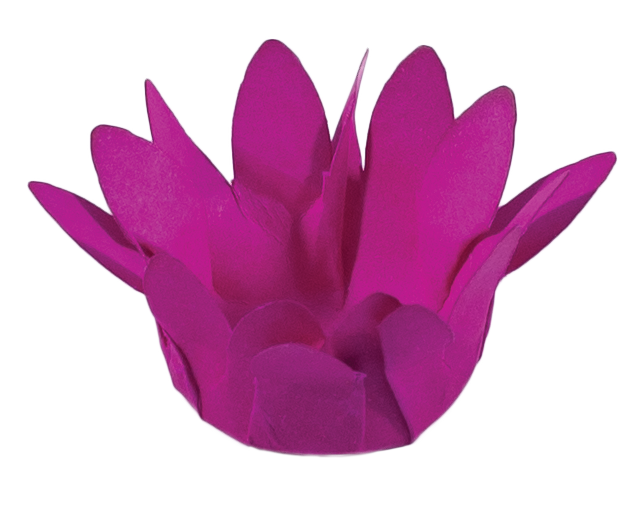 MINI MADRI   PINK
