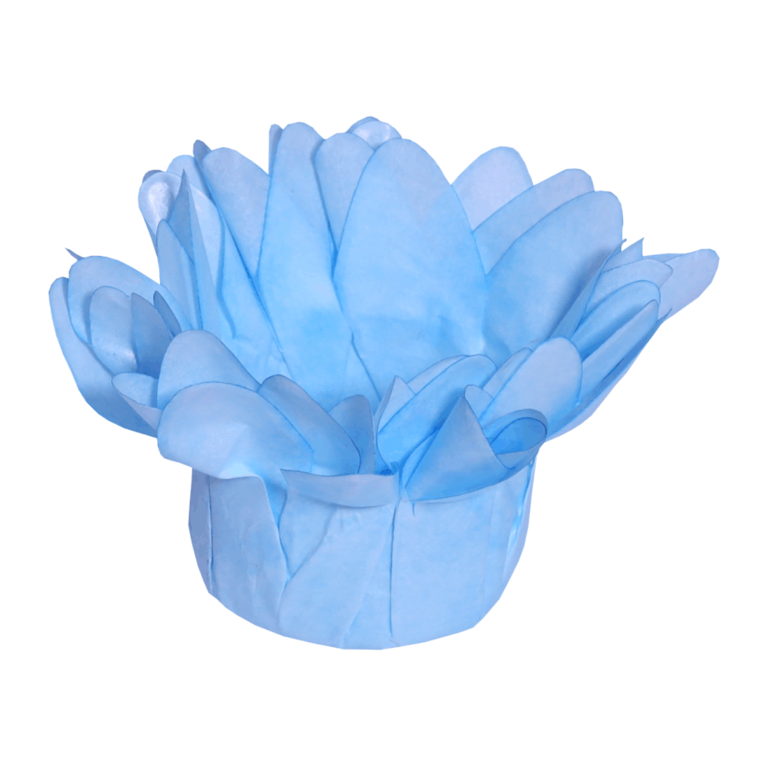 MADRI AZUL BEBÊ