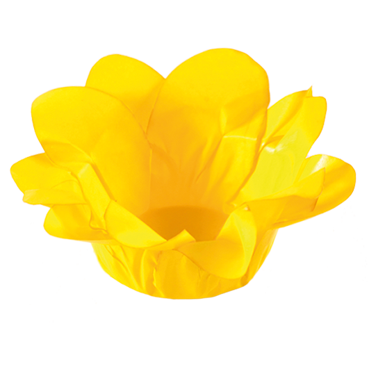 LÍRIO AMARELO VIVO