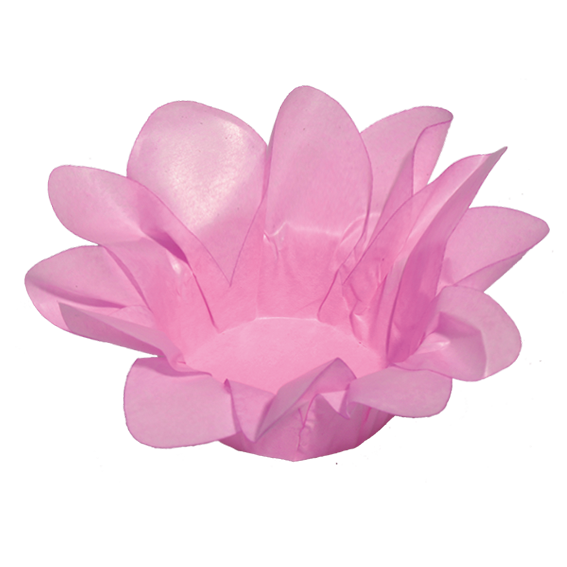 LÍRIO ROSA CLARO