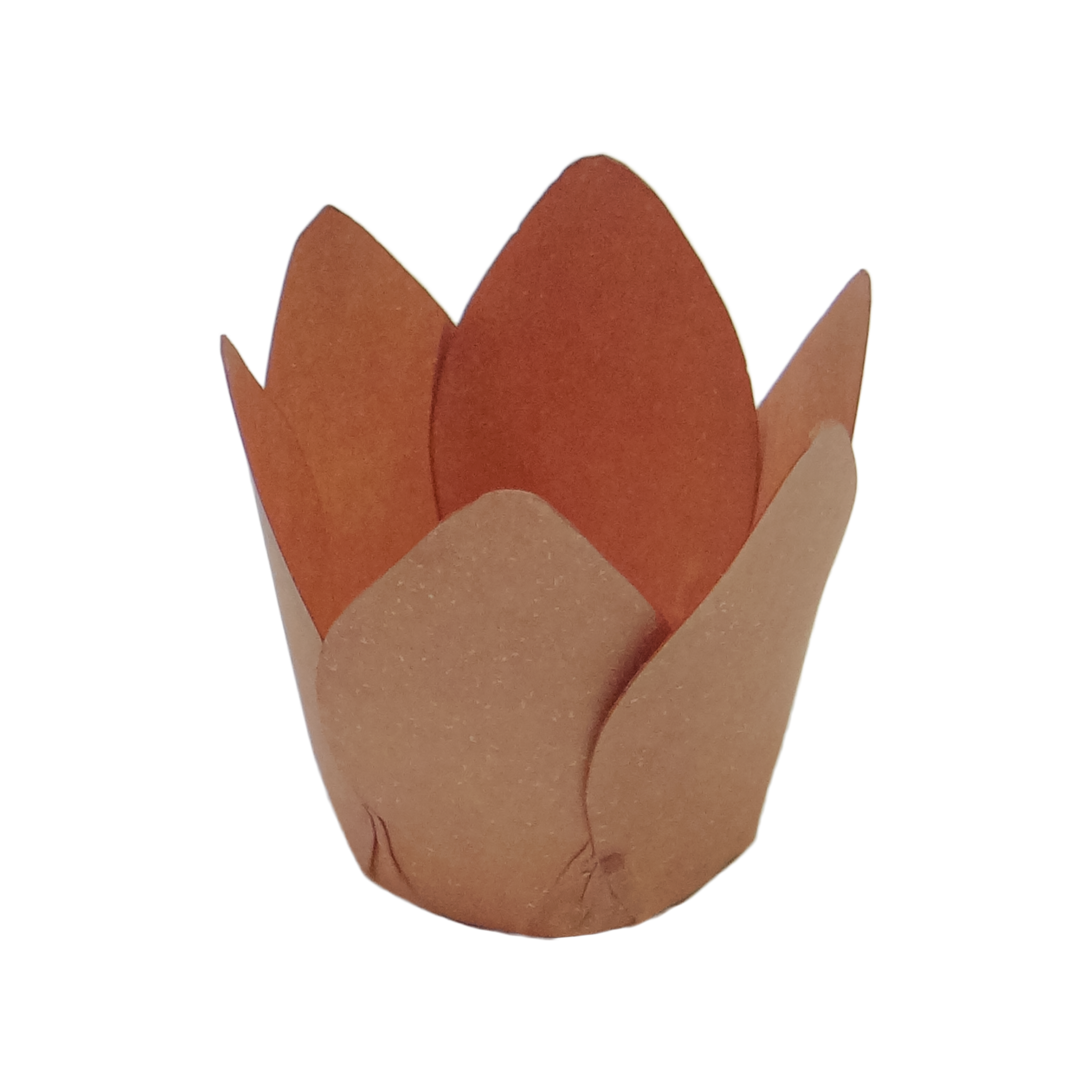 MÔNACO CANELA