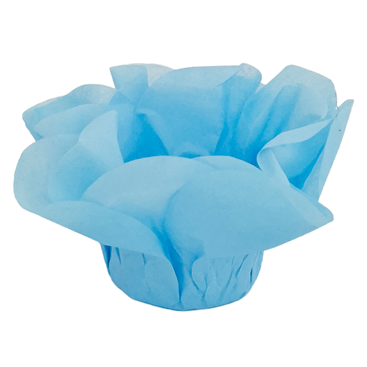 fendi Azul bebe