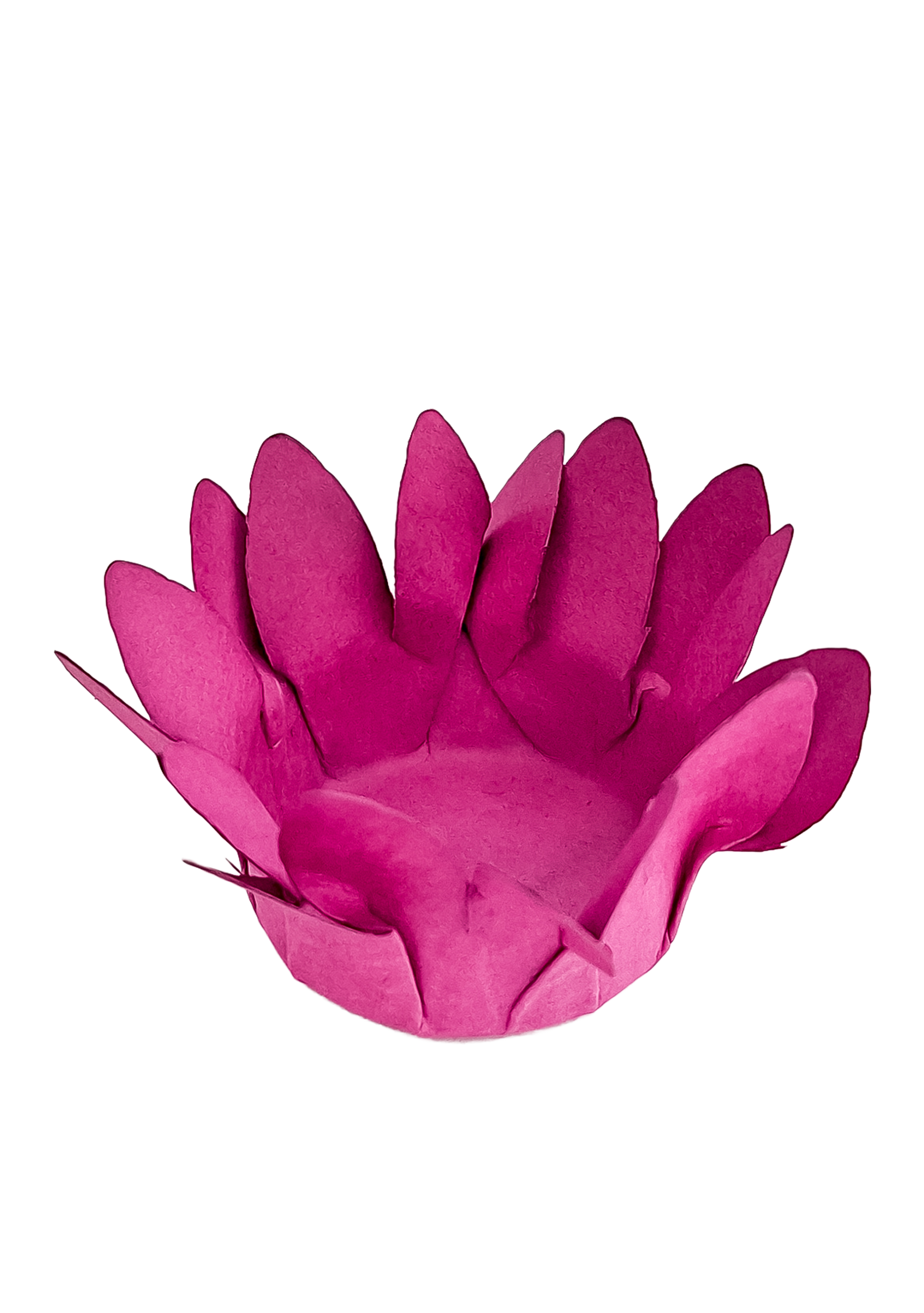 Mini madri rose