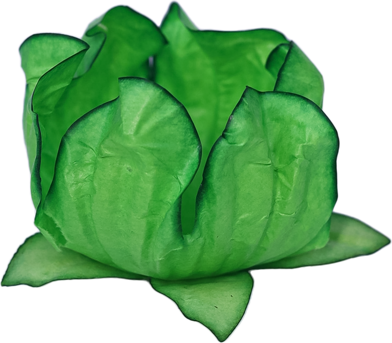 STYLO VERDE LIMÃO