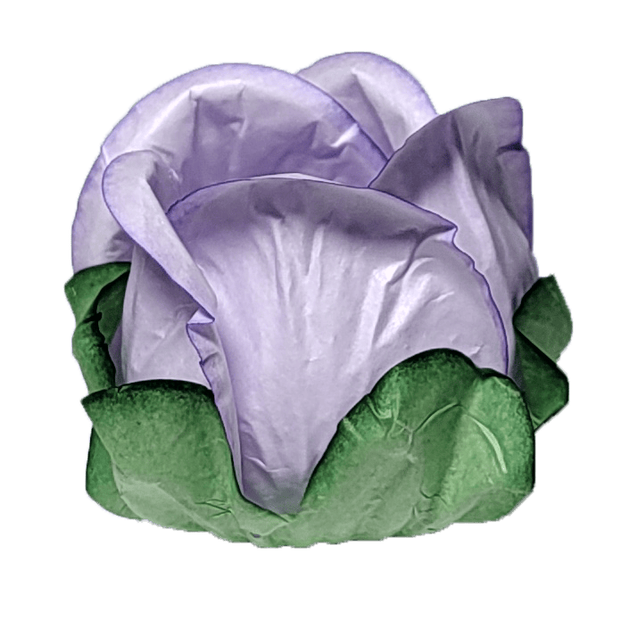 BOTÃO DE ROSA  LILAS