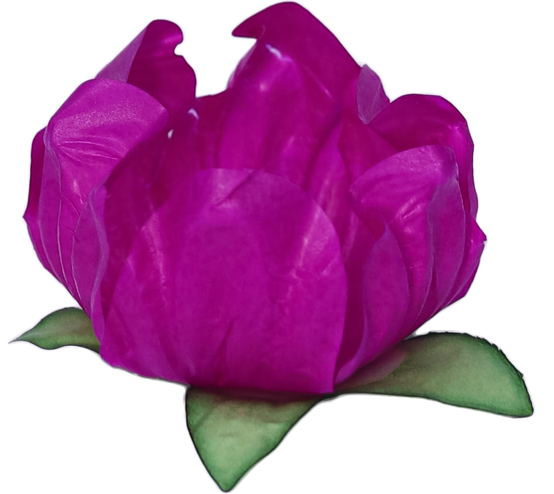 STYLO PINK