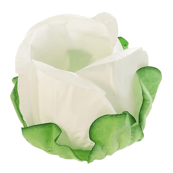 BOTÃO DE ROSA  BRANCO