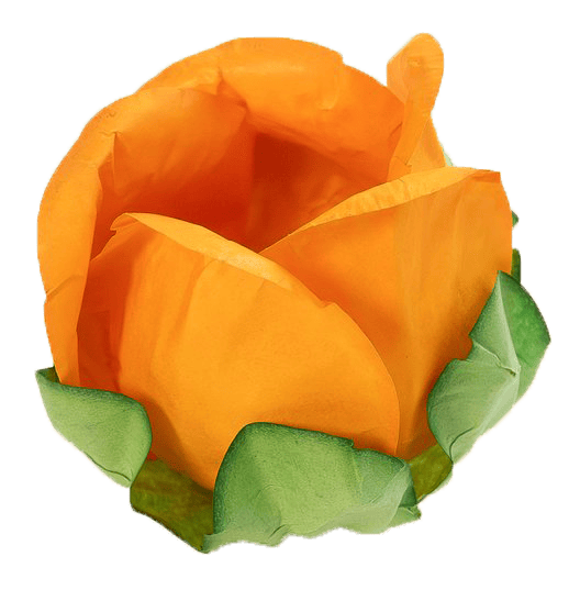 BOTÃO DE ROSA  LARANJA