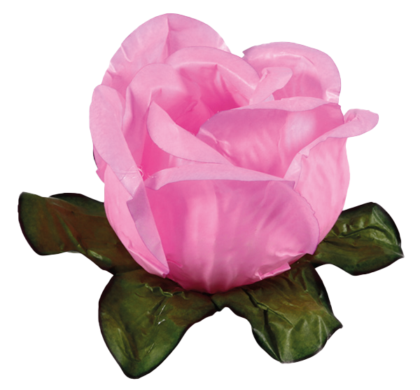RAINHA ROSA CLARO