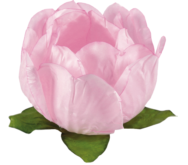 PRINCESA ROSA BEBÊ