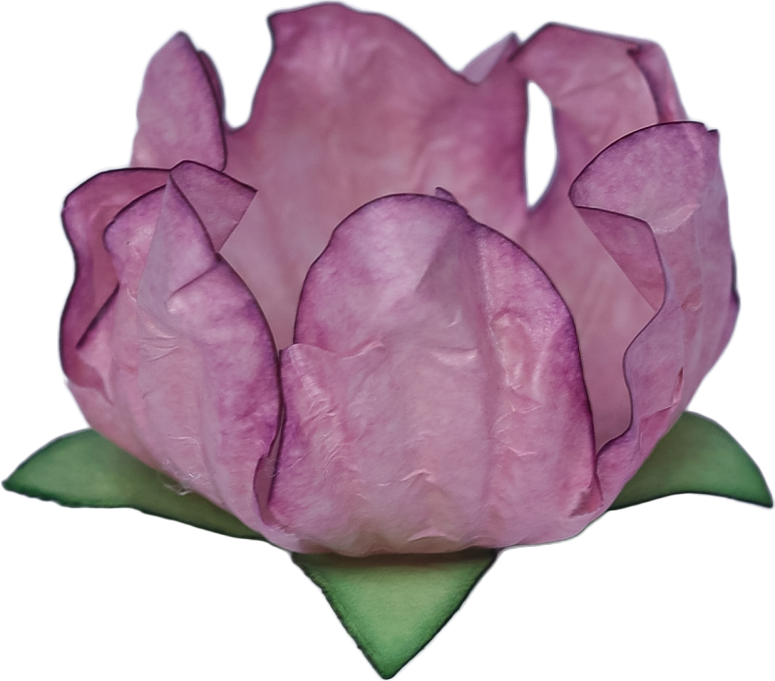 STYLO ROSA SECO