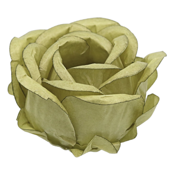 VERDE OREGANO MATTE (Personalizado)