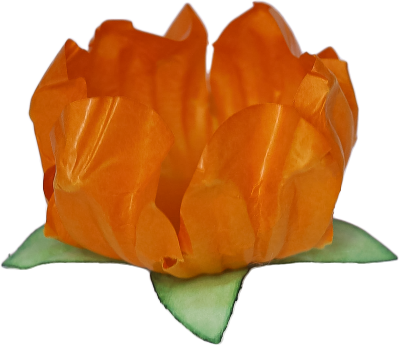 STYLO LARANJA