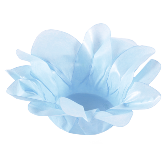 LÍRIO AZUL BEBÊ