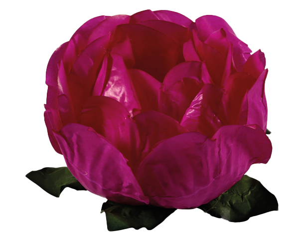 BELA PINK