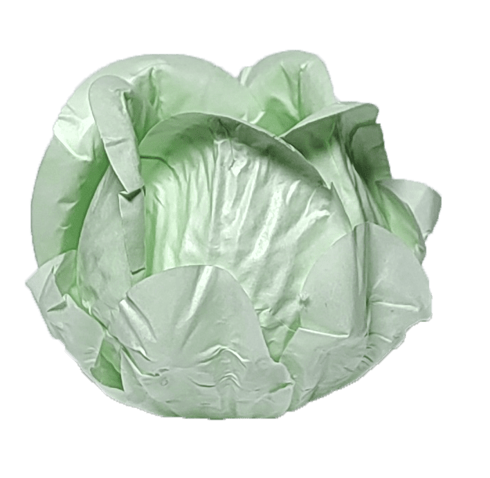 BOTÃO DE ROSA  VERDE CANDY
