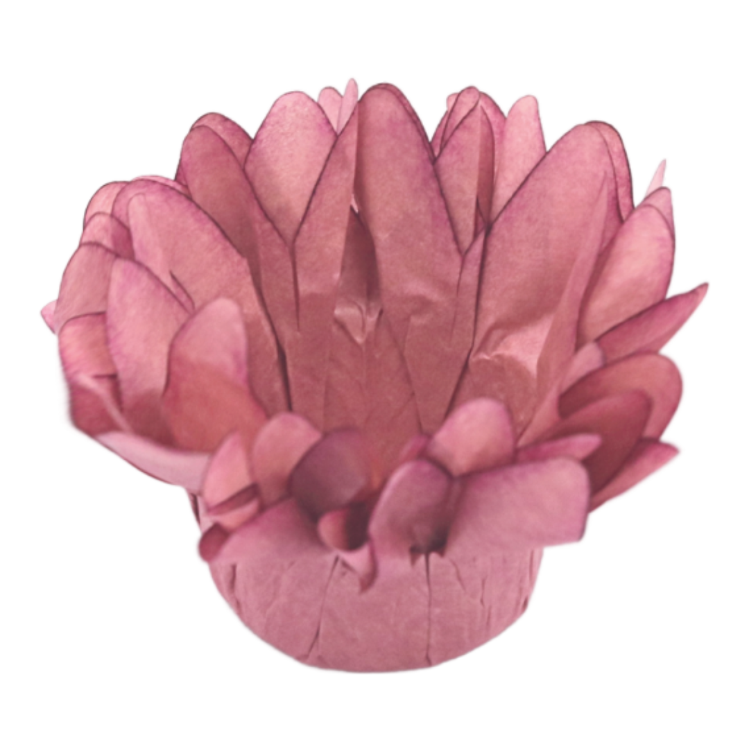 MADRI ROSA SECO