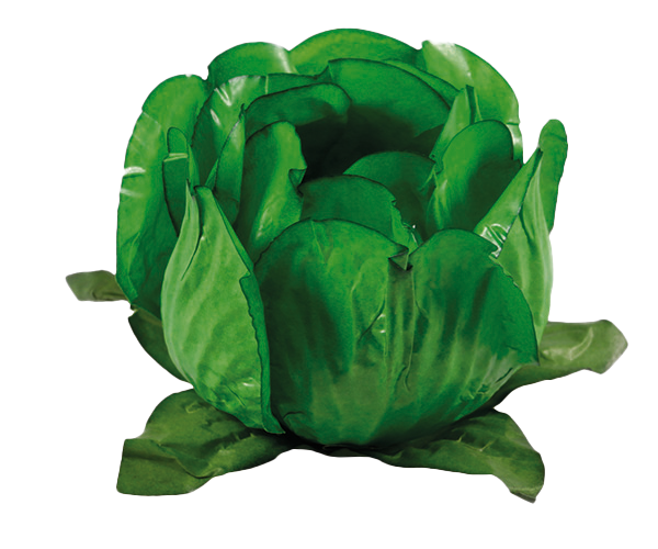 PRINCESA VERDE LIMÃO ESCURO