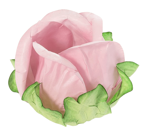 BOTÃO DE ROSA  ROSA SECO1