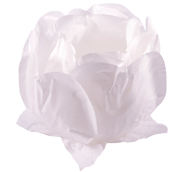 PRINCESA BRANCO BRANCO