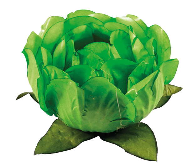 BELA VERDE LIMÃO CLARO