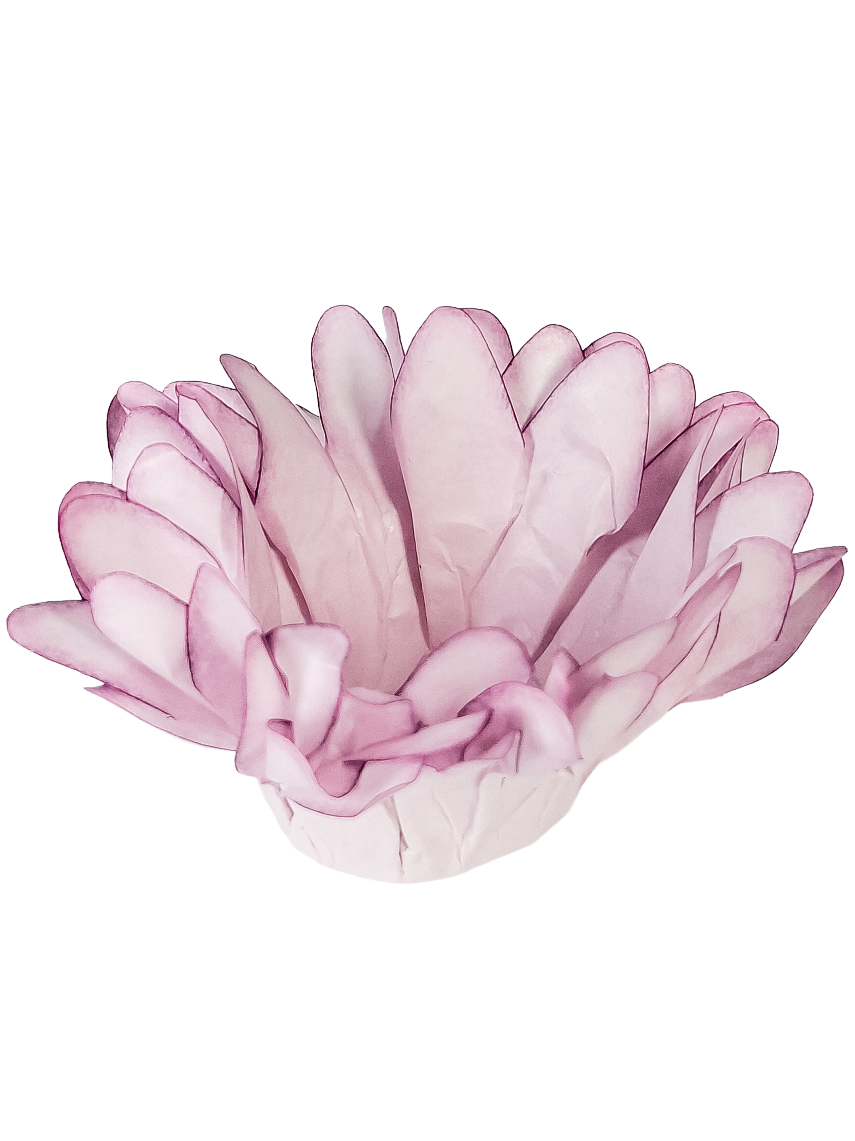 Madri Perola
