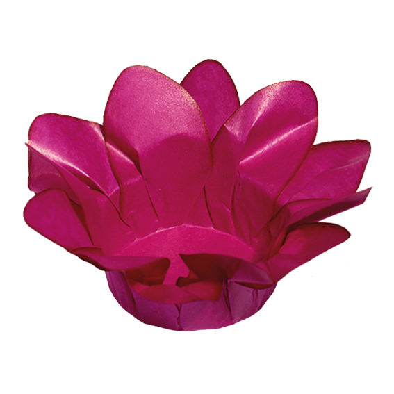 LÍRIO PINK