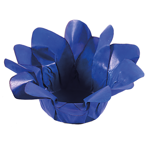 LÍRIO AZUL ROYAL