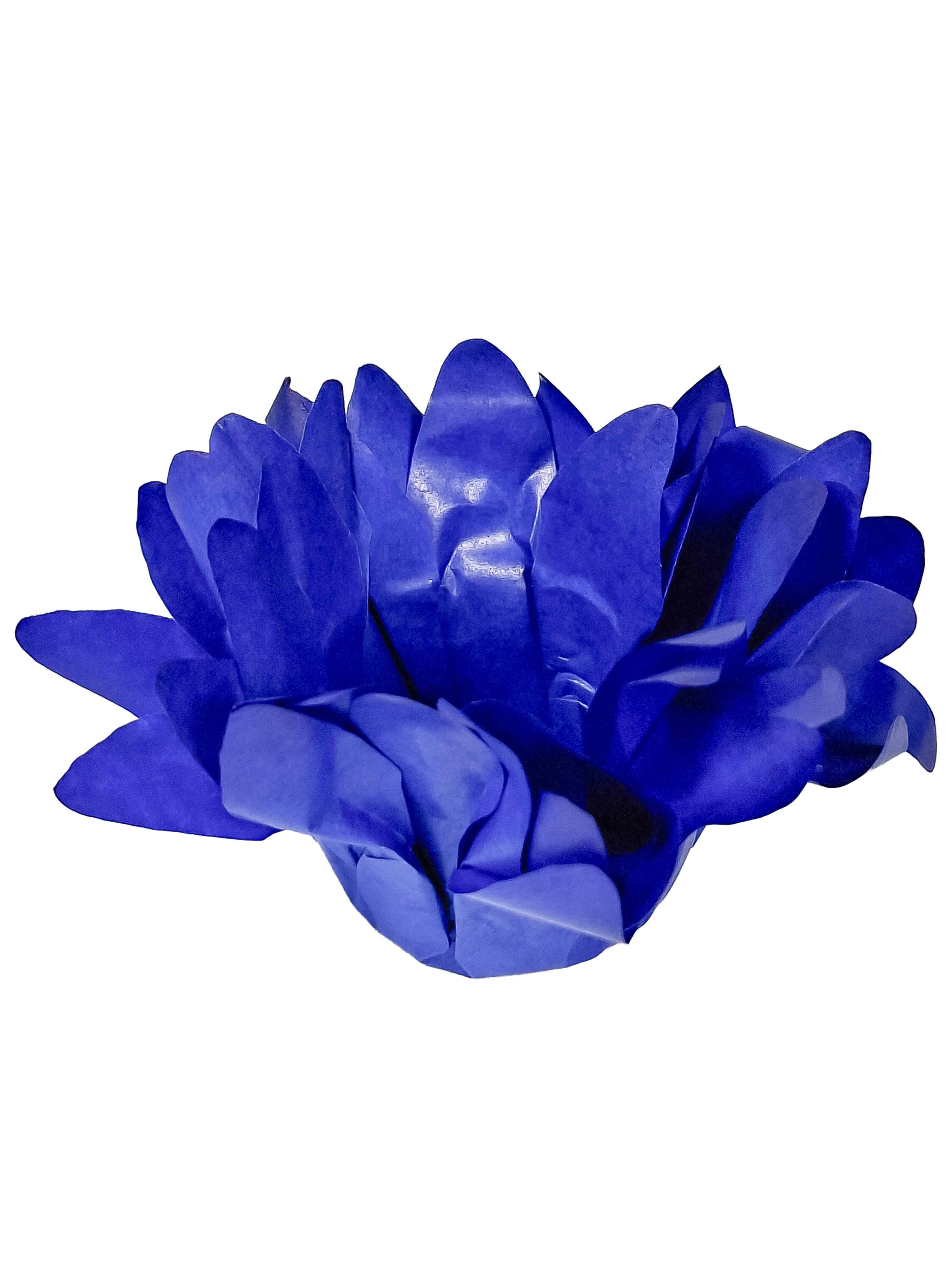 Madri azul royal