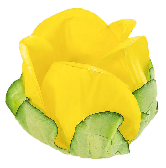 BOTÃO DE ROSA  AMARELO VIVO