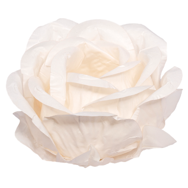 CREME (Personalizado)