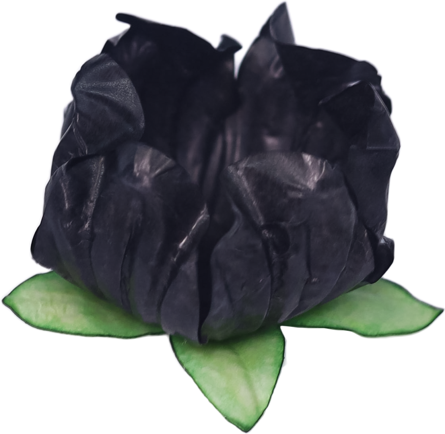 STYLO PRETO