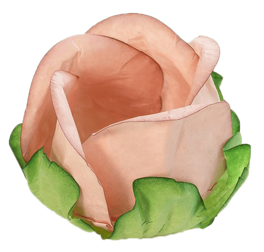 BOTÃO DE ROSA  NUDE