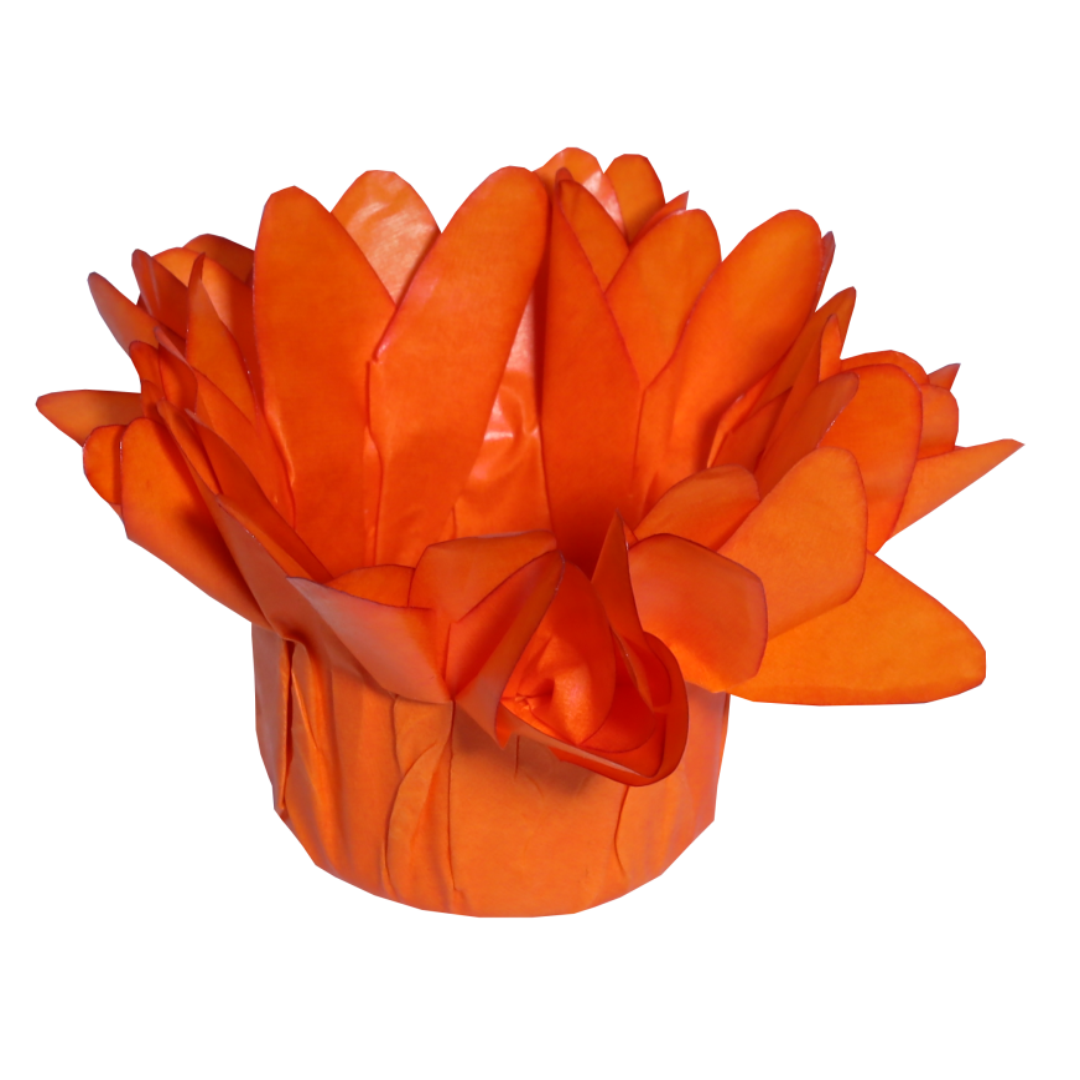 MADRI LARANJA