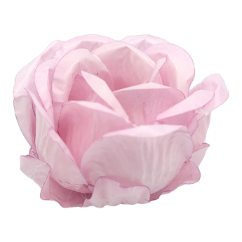 ROSA SECO MATTE (Personalizado)