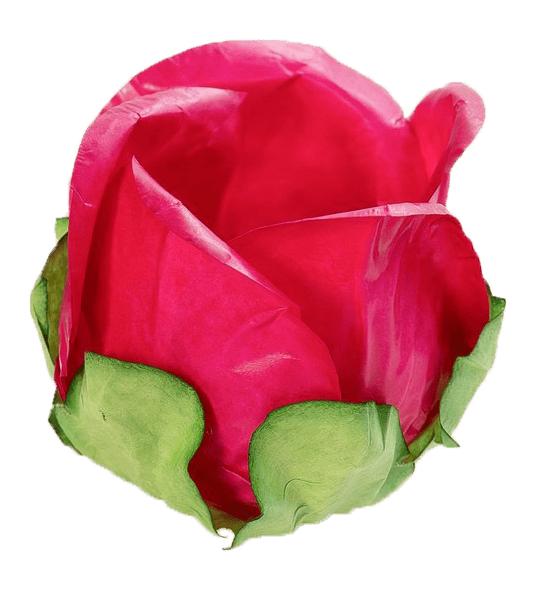 BOTÃO DE ROSA  PINK