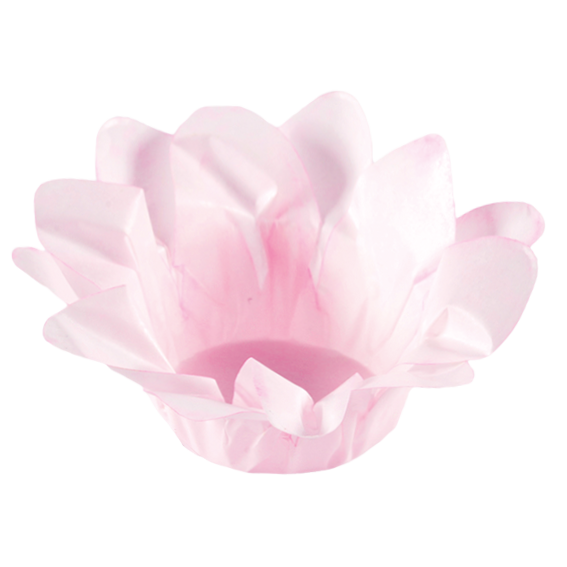 LÍRIO ROSA BB