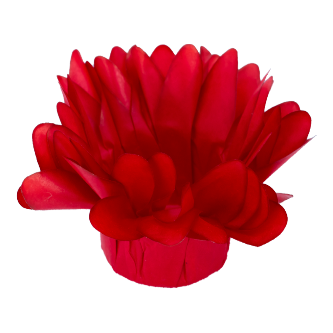 MADRI VERMELHO