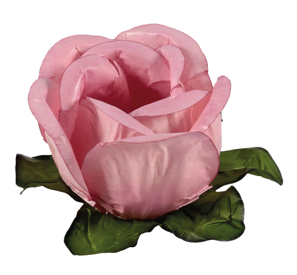 RAINHA ROSA SECO