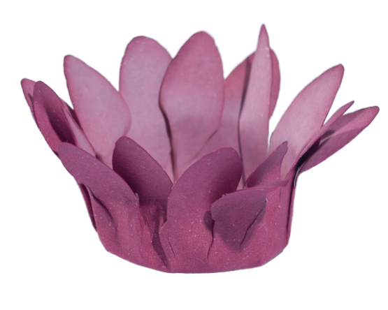 MINI MADRI   ROSA SECO