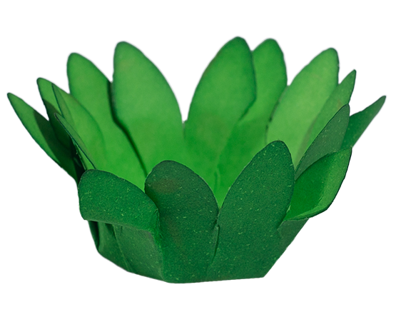 MINI MADRI   VERDE LIMÃO