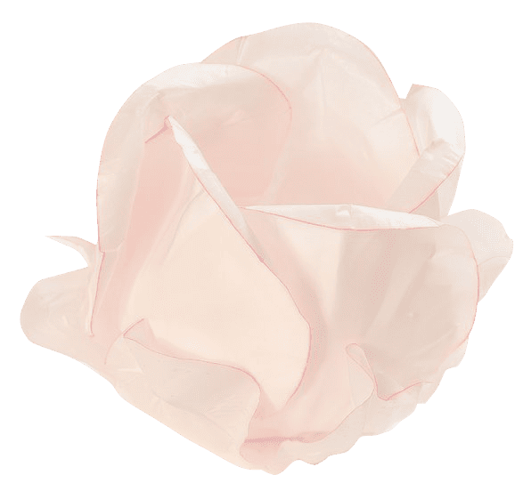 BOTÃO DE ROSA  ROSA CANDY