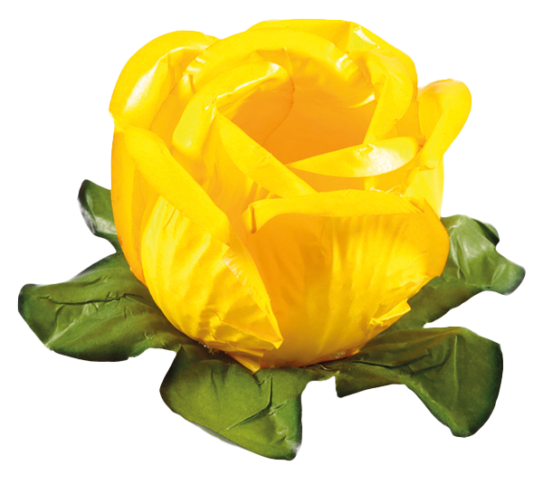 RAINHA AMARELO VIVO