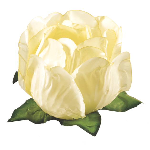 PRINCESA AMARELO BEBÊ